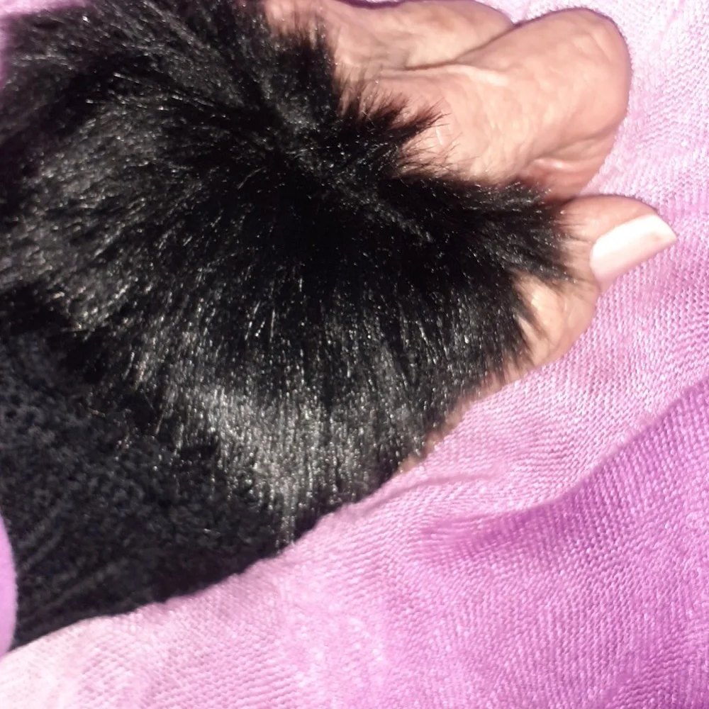 Black Fingerless Gloves w/ Fur (faux) Trim